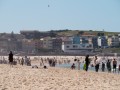 0901-1225 Bondi (1040902)